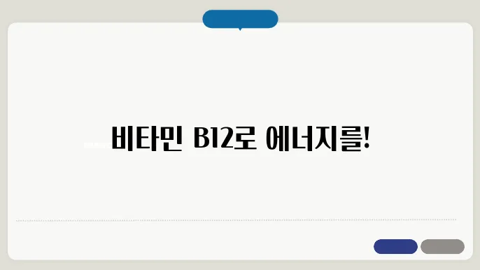 비타민b12가 많은 음식