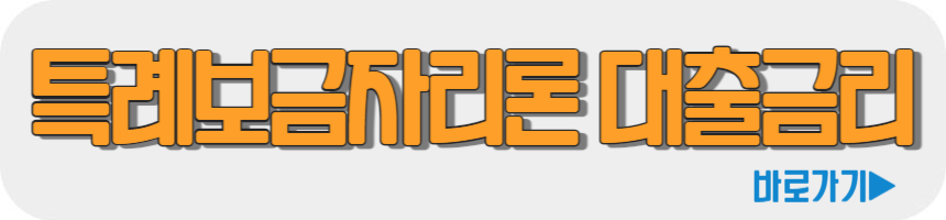 특례보금자리론