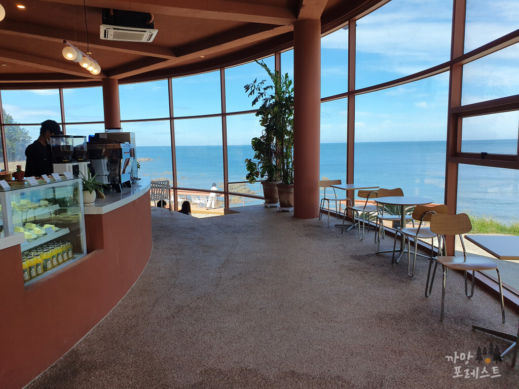 커피 인터뷰 파도리 내부