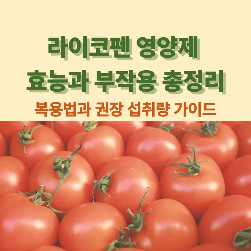 라이코펜 영양제 효능과 부작용 총정리|복용법과 권장 섭취량 가이드