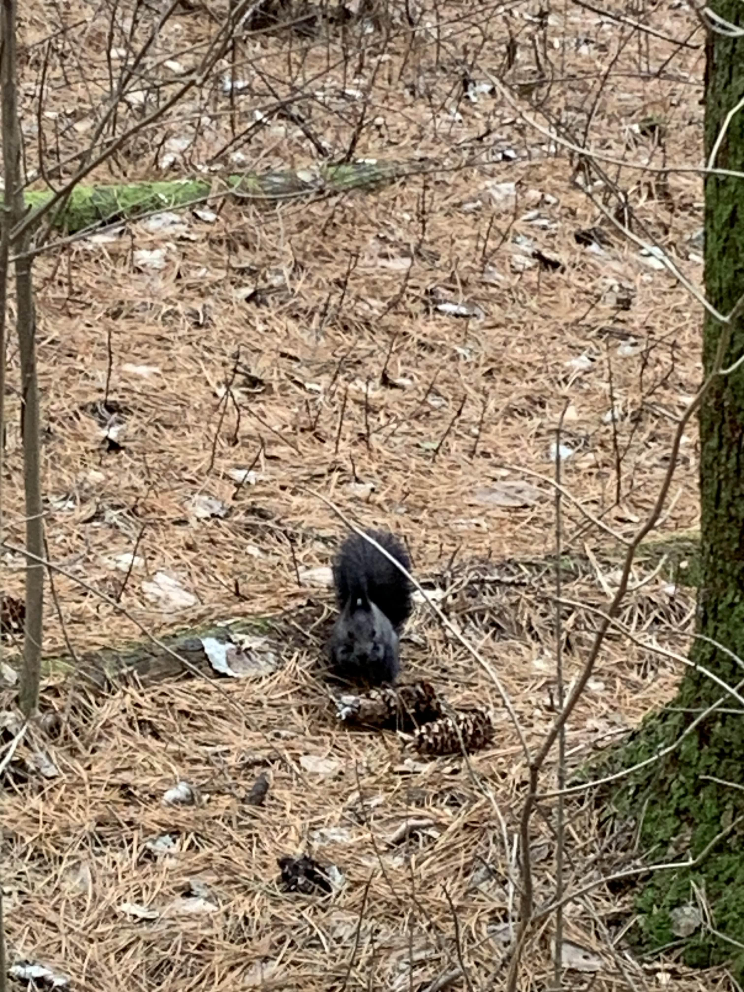횡성 여행 청태산 자연휴양림