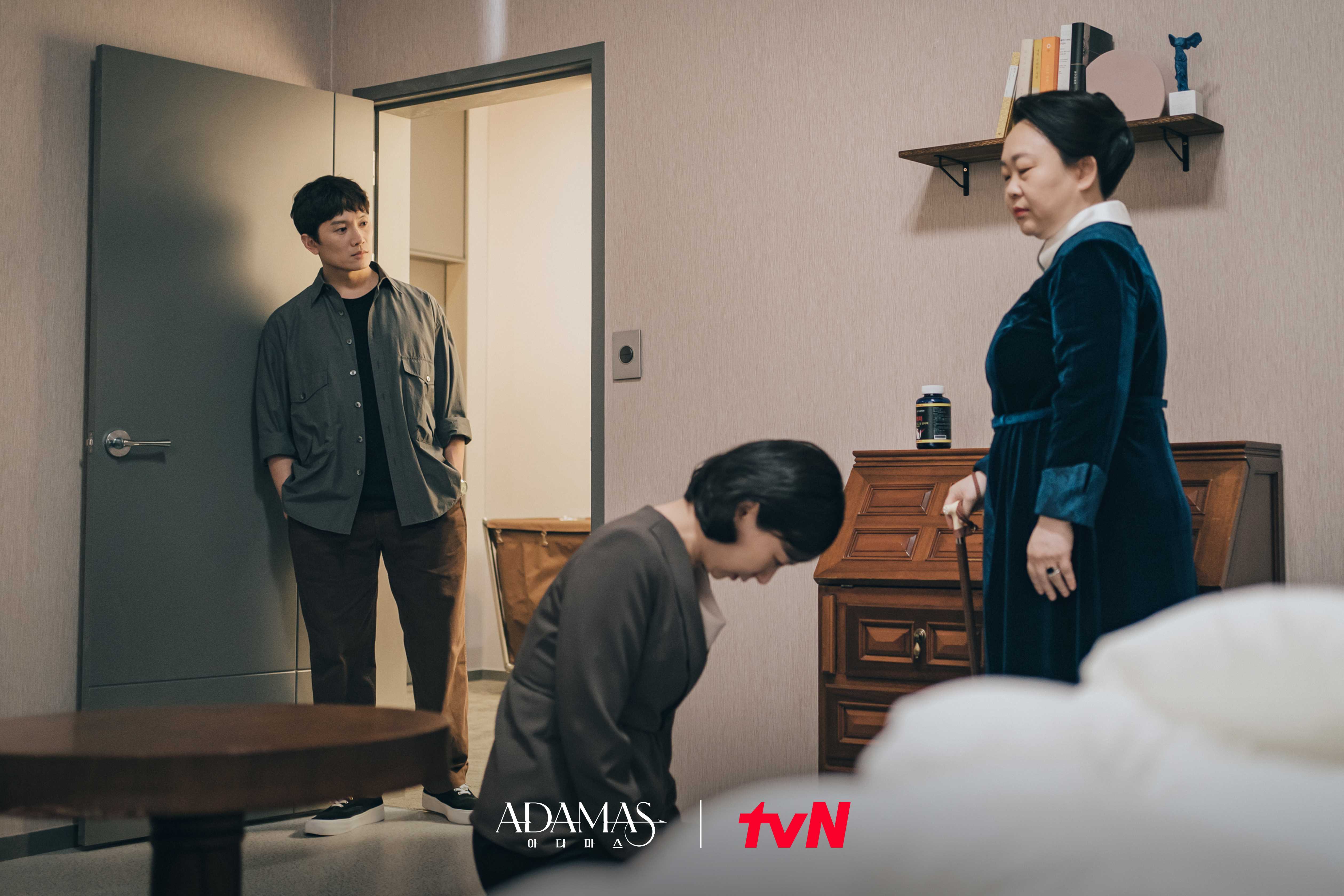 아다마스 스틸컷