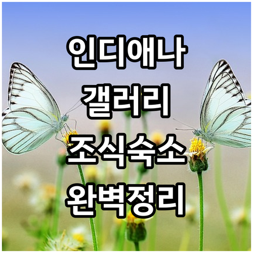 인디애나폴리스 여행 Mass Ave ..