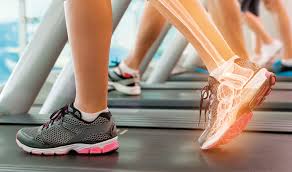 서리태 검정콩 효능 5가지