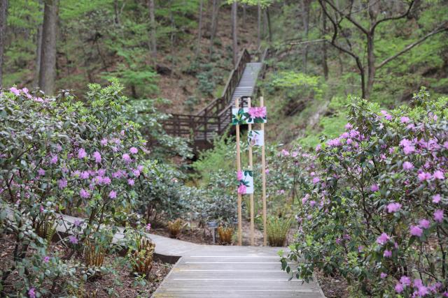 국립 백두대간수목원