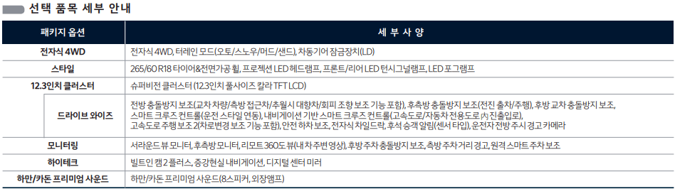 2.5 가솔린 터보 옵션