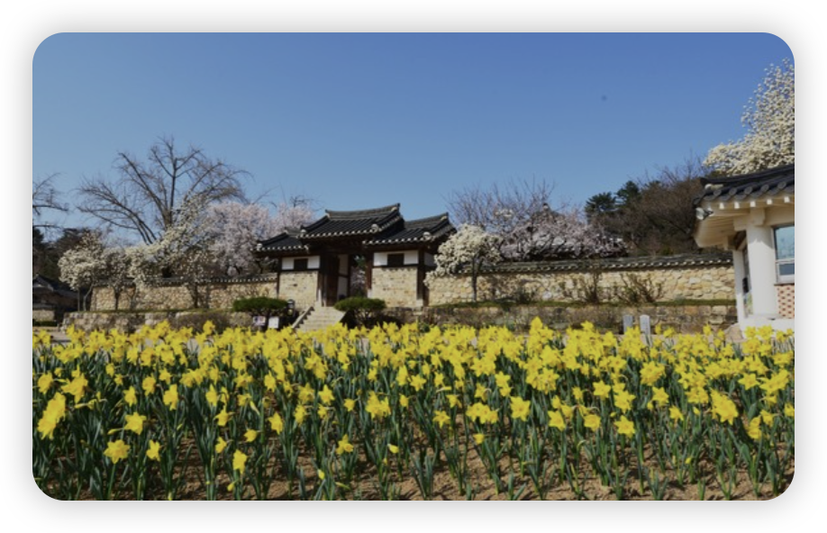 예산-추사-김정희-고택