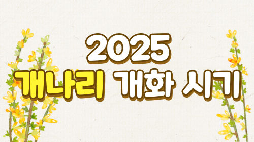 2025개나리개화시기
