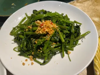 모닝글로리 쇼핑몰 다이어리 달력 수척 필통 추천_22