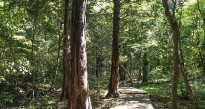 국립자연휴양림 예약 방법
