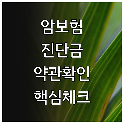 암보험 진단금, 약관 확인 필수! 놓