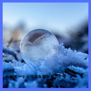 얼음 어는 시간 얼음 빨리 얼리는 법 