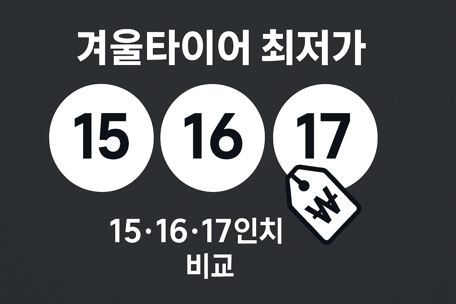 15·16·17인치 겨울타이어 최저가 비교 인포그래픽