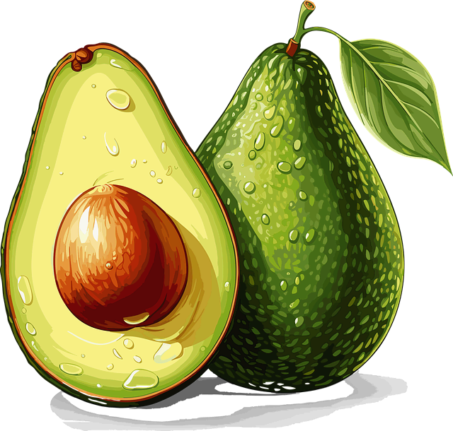 도시 농업의 이색 도전 : 아보카도 씨앗으로 나무 키우기