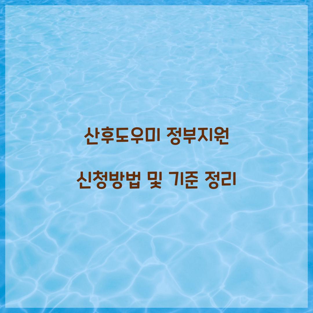 산후도우미 정부지원