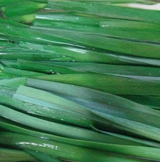 대파 효능과 부작용 고르는법