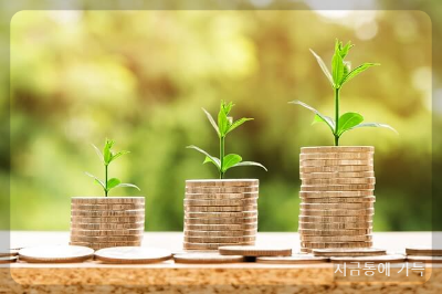 청년도약계좌 무직 알바