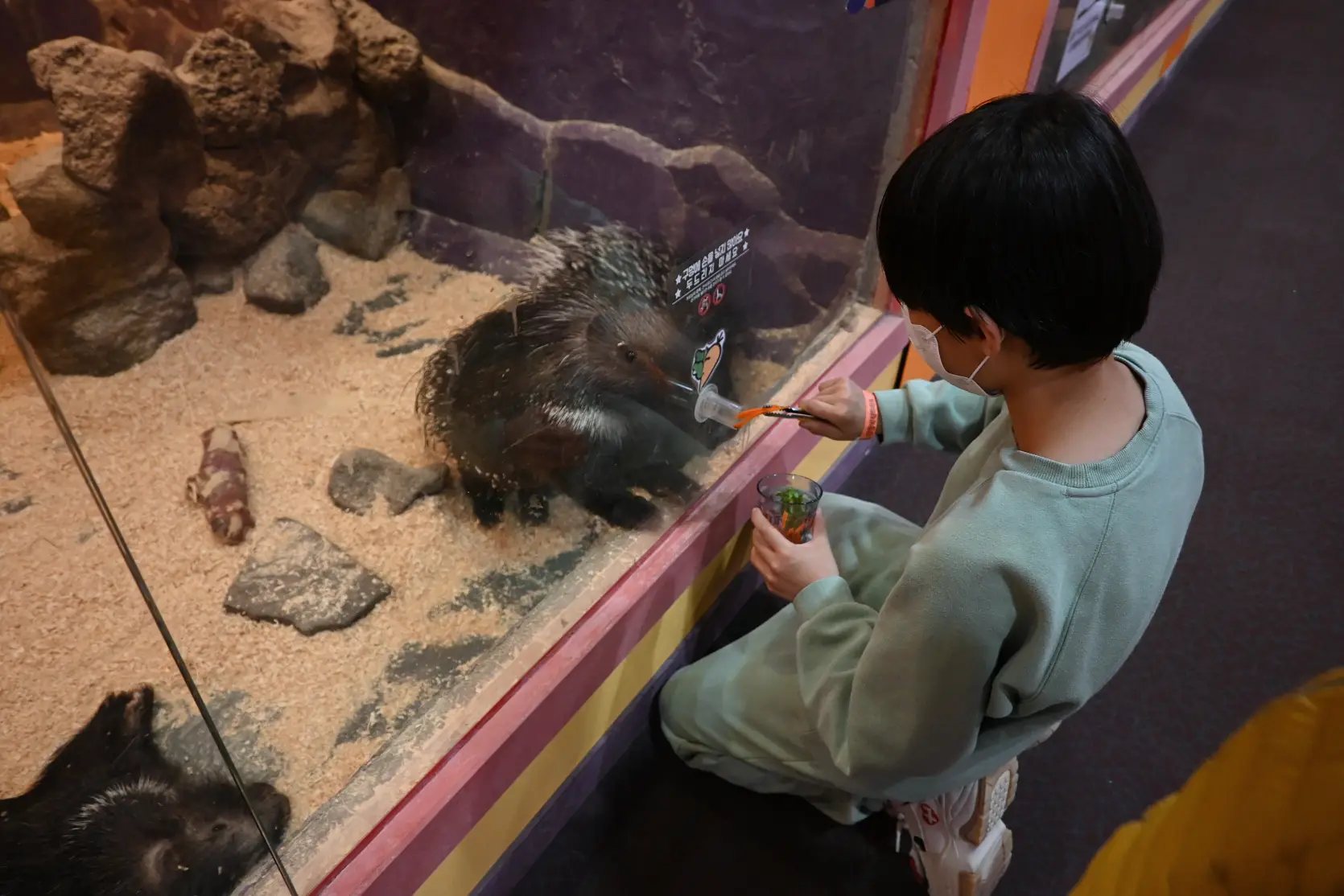 기흥 하이브패밀리 테마파크 온가족이 즐기는 동물원이 있는 키즈카페 사진 19