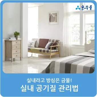 침실 공기질 환기 가습 식물 침구먼지 줄이는 생활습관_9