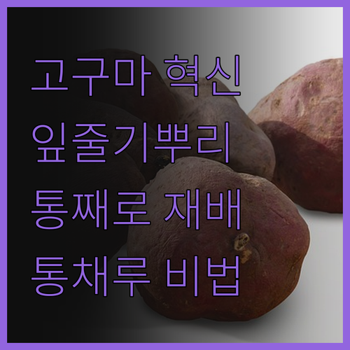 고구마의 혁신! 잎, 줄기, 뿌리까지