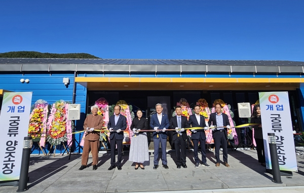 생방송 오늘 저녁 수상한 가족 의령 양조장