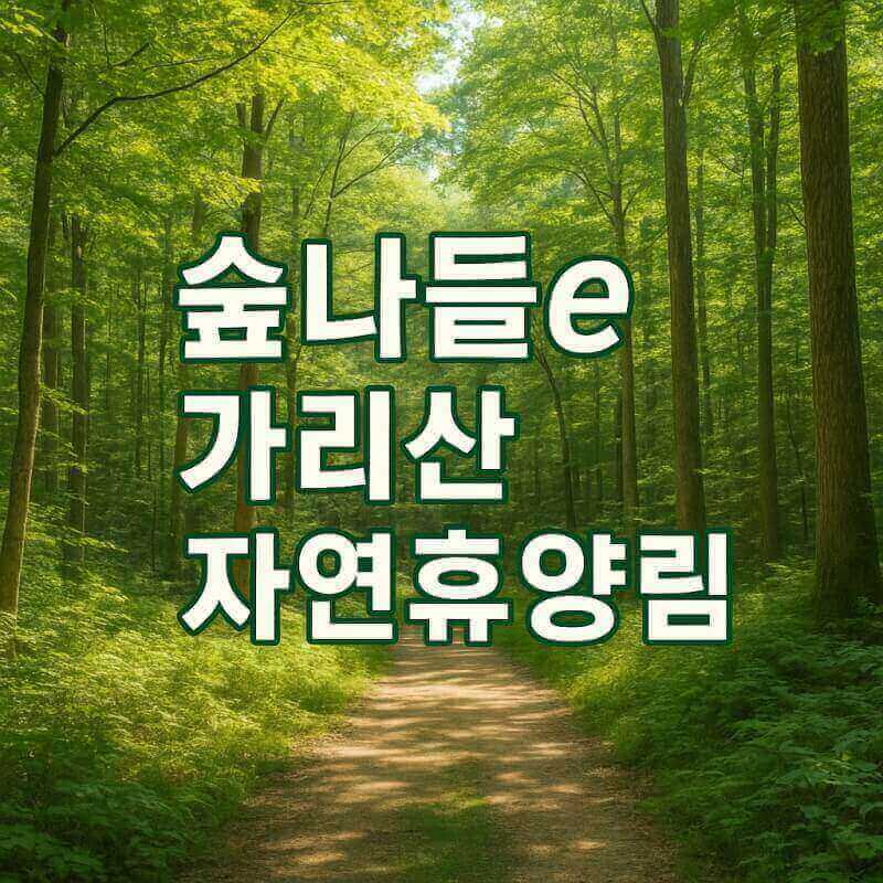 숲나들e 가리산 자연휴양림 국내여행지추천 관련사진