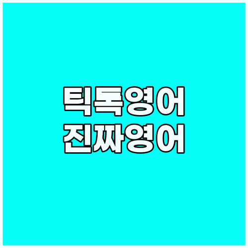 틱톡 영어 공부: 외국 틱톡으로 배우..