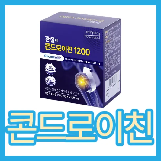 연골 관절 콘드로이친 1200 효능 부작용 후기 함량