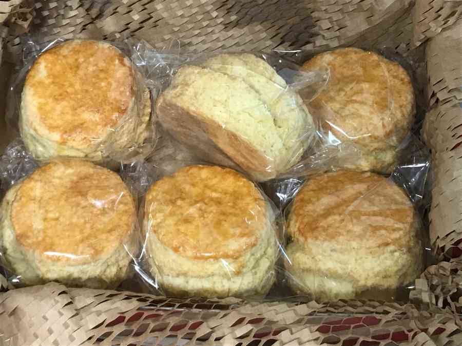 을지루이스 스콘 6개