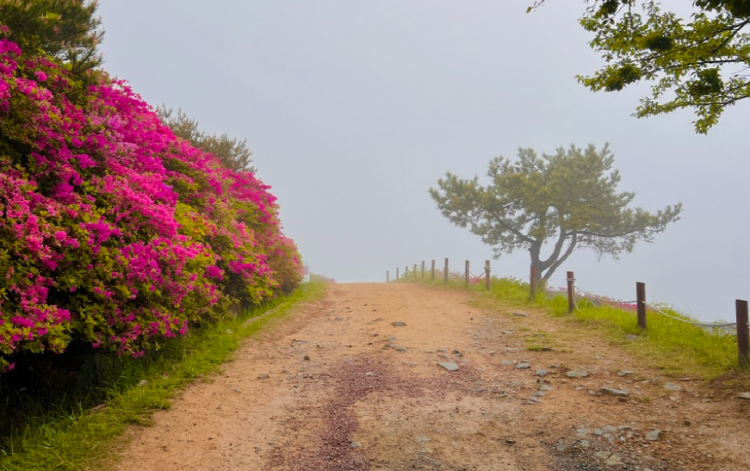 백양산 등산코스