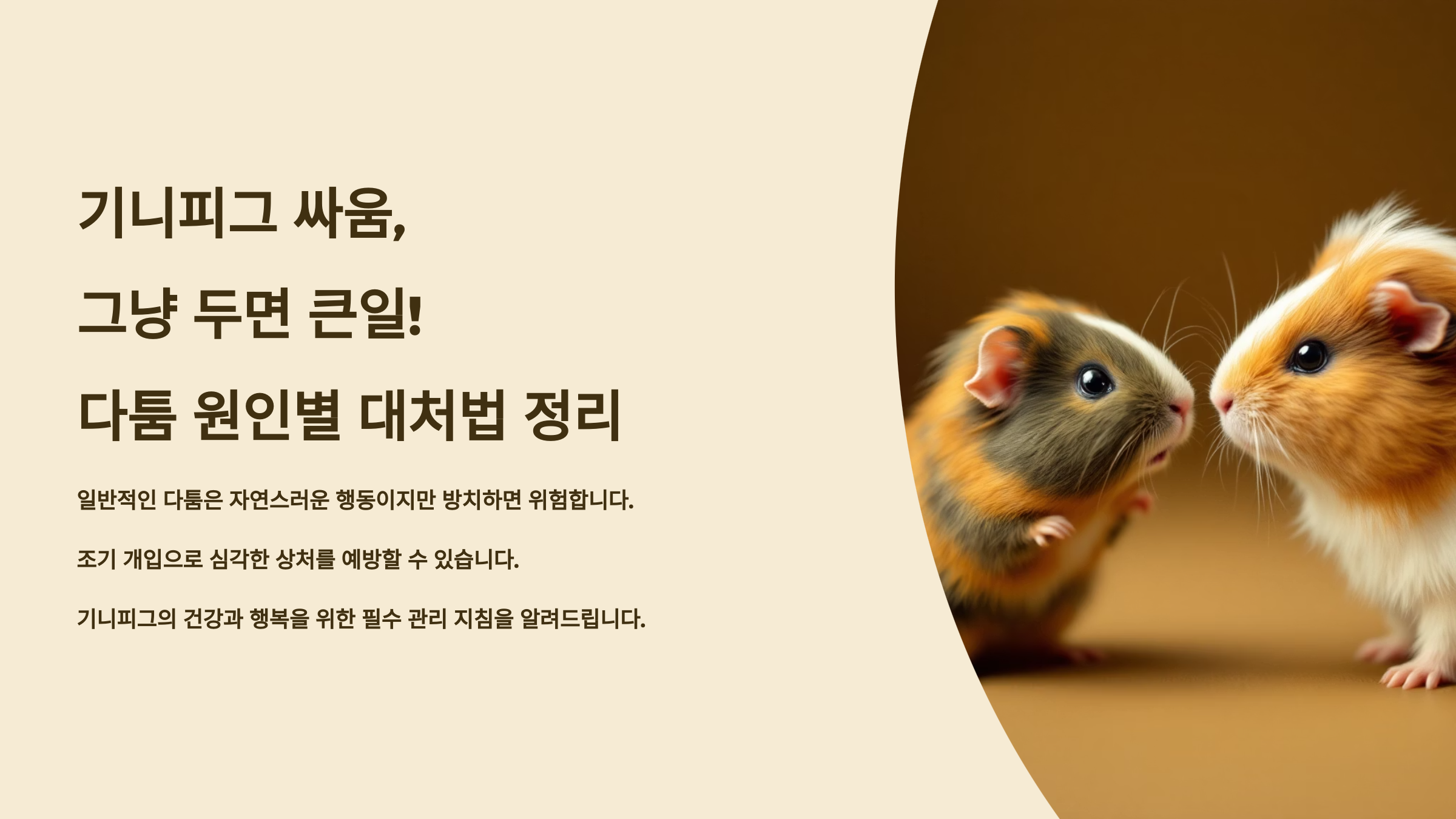 기니피그 싸움, 그냥 두면 큰일! 다툼 원인별 대처법 정리