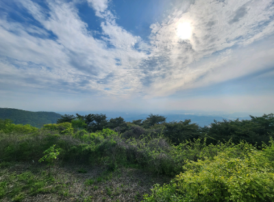 주변 경치