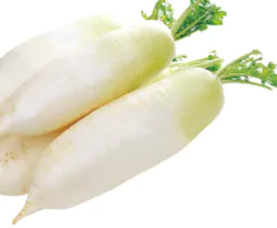 신장에 좋은 음식