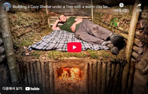 [심층 분석] 통나무 쉘터: 완벽한 기술인가, 보완이 필요한 도전인가?