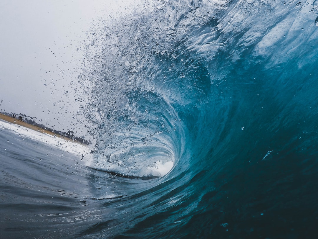 'Wave'