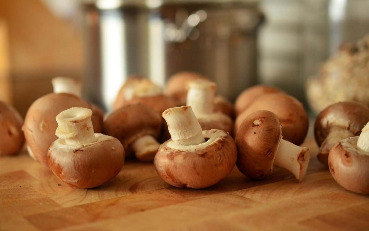 암 예방에 도움 되는 버섯