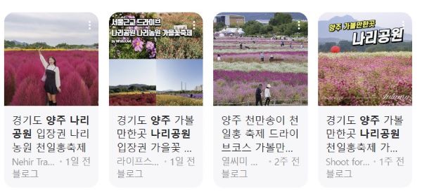 서울-핑크뮬리-명소