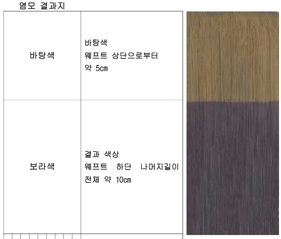 염색