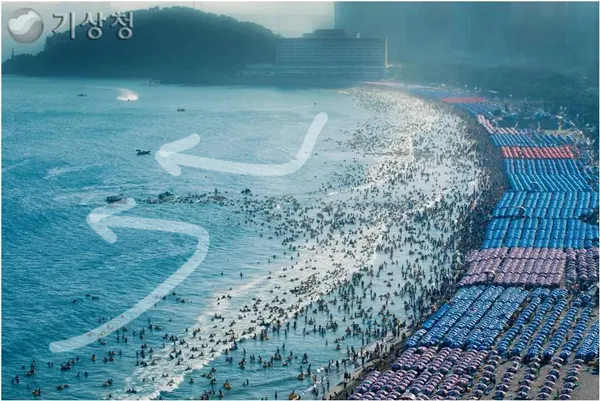 이안류_발생시_행동요령