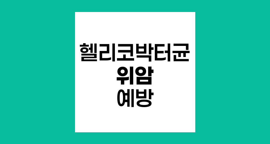 헬리코박터균과 위암 관계, 예방과 치료 전략