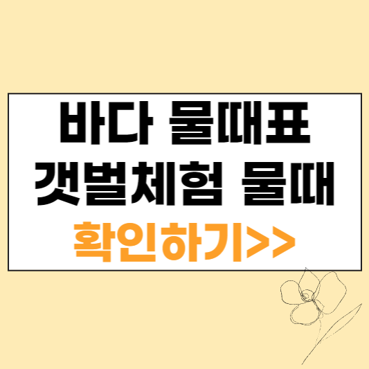 바다 물때표&#44; 갯벌체험 물때 확인하기 섬네일