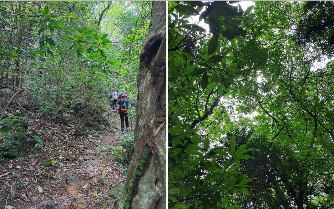 매일 걷기 운동으로 달라지는 내 몸과 마음, 그 기록들