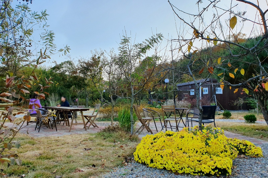 특색있고 아름다운 민간 정원 30선 추천 여행 - 11. 경주 야생화일기 정원