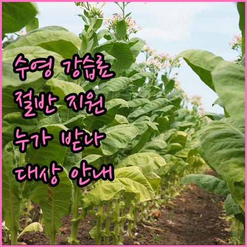 2025 인천시 수영 강습료 절반 지..