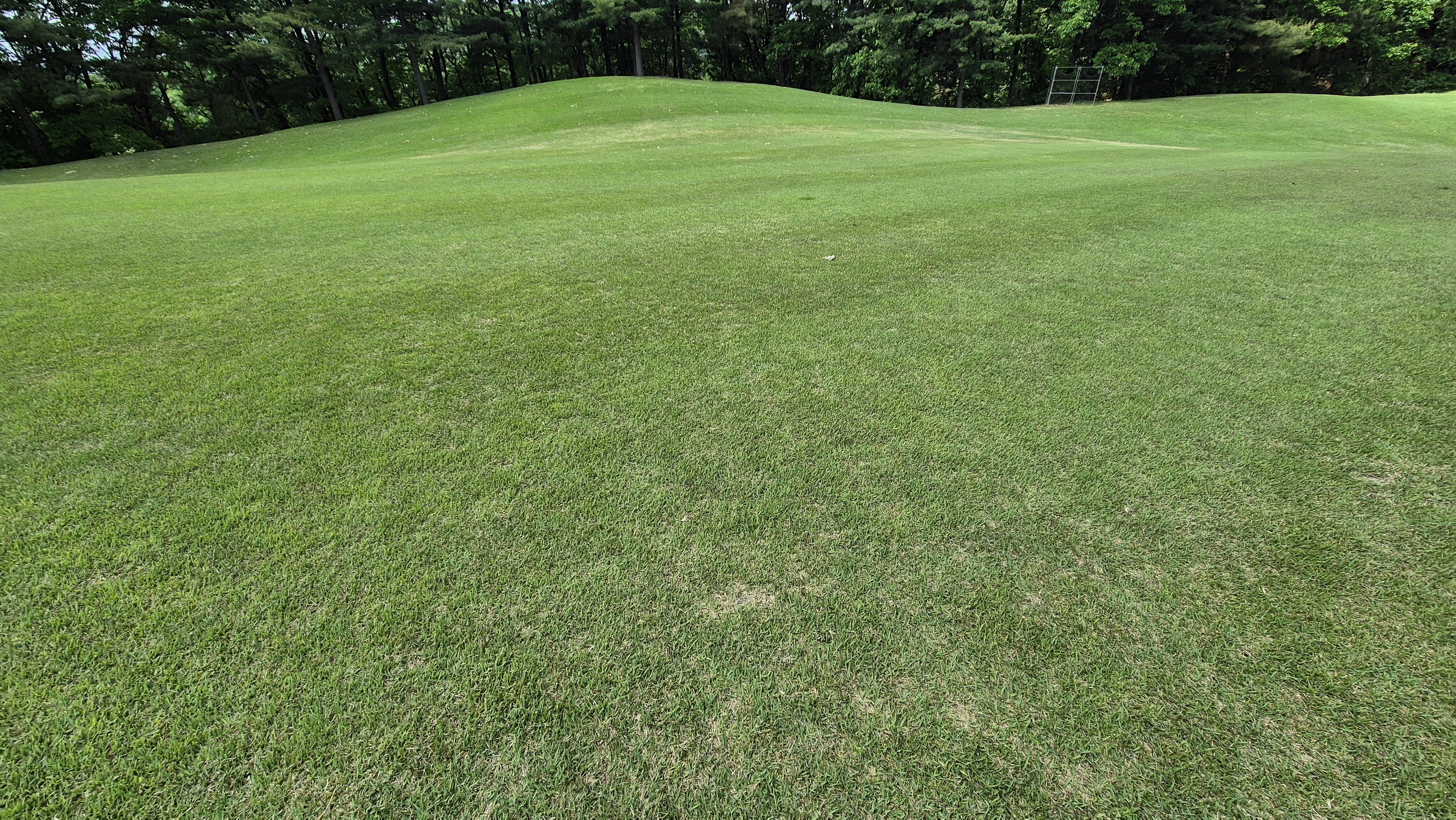 파크밸리gc 라운드 후기