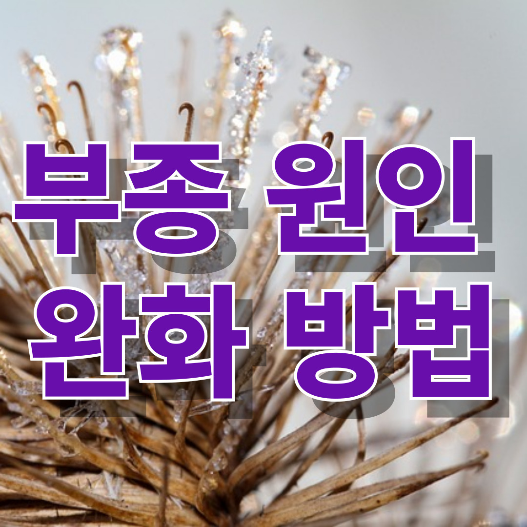 부종 원인 완화 방법