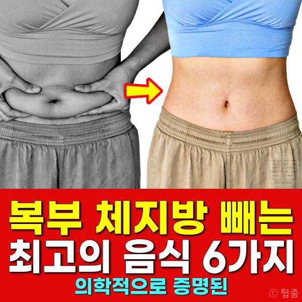 복부 체지방 빼는 음식