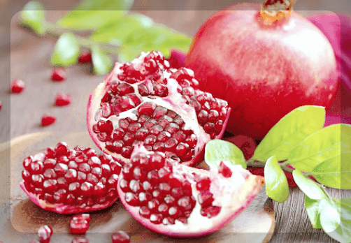 석류즙 효능 추천