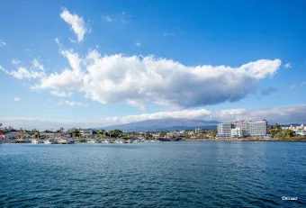 제주 서귀포 카페 추천 디저트 맛집과 뷰 맛집 정리_5