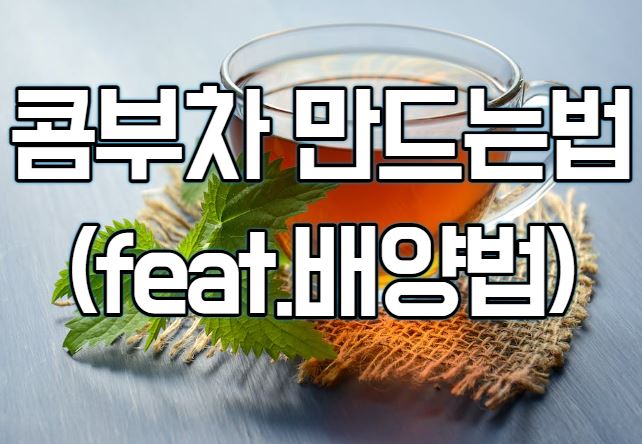 콤부차 만드는방법